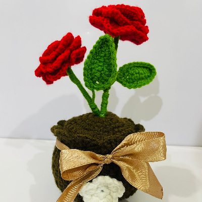 Crochet Red Rose flower Pot