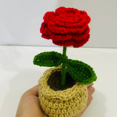 Crochet single Rose flower Pot