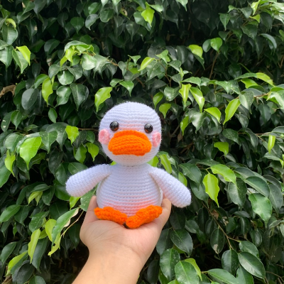 Duck plushie