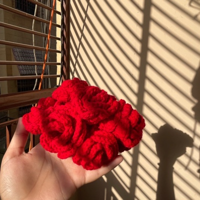 crochet all rose gajray