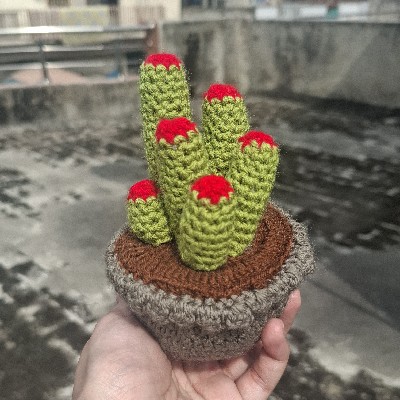 Crochet Cactus Plant