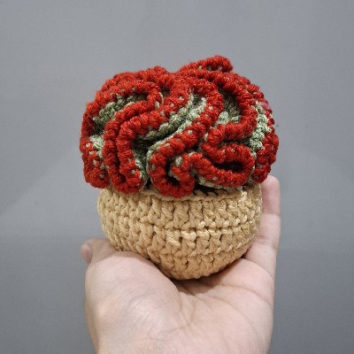 Crochet Curly Locks Cactus